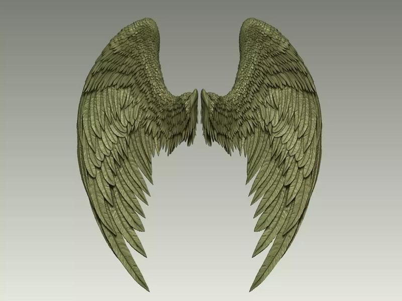 Wing Model 21