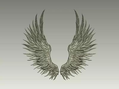 Wing Model 11