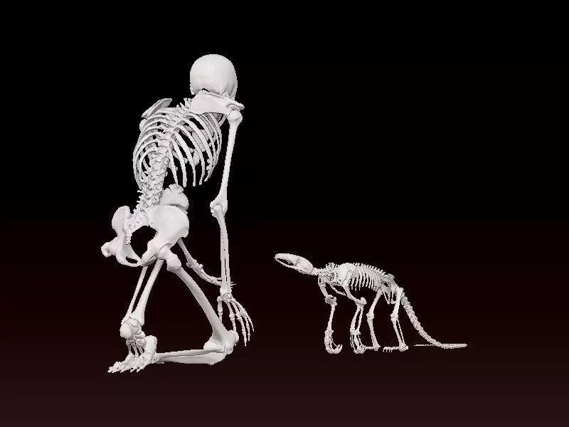 Human bones and baby dinosaur statue - 3D print