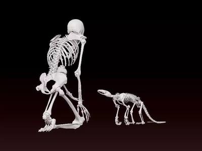 Human bones and baby dinosaur statue - 3D print
