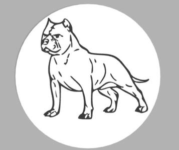 pitbull led lamp