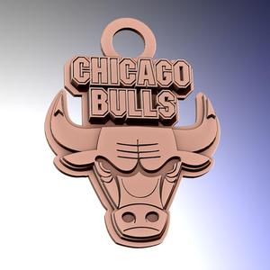 NBA Chicago Bulls  Keychan Badge Printable and Renderable