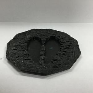 Identifying Animals by Tracks and Scat