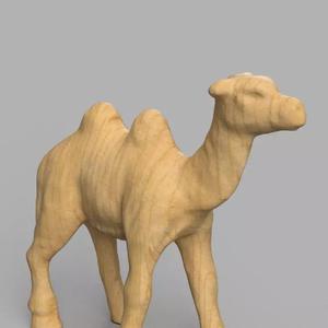 Chameau golden camel