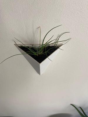 Flowerpot MaZ06