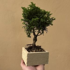 Wood BOX / FLOWER POT DOVETAIL JOINT FOR 3D PRINTING WOOD TEXTURE