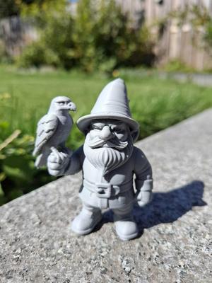 Falconer Gnome – Master of the Skies