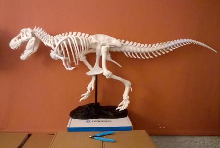 T-Rex Skeleton Tail repaired (A+B)