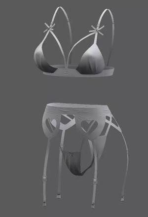 Woman Female Lingerie with panties bra