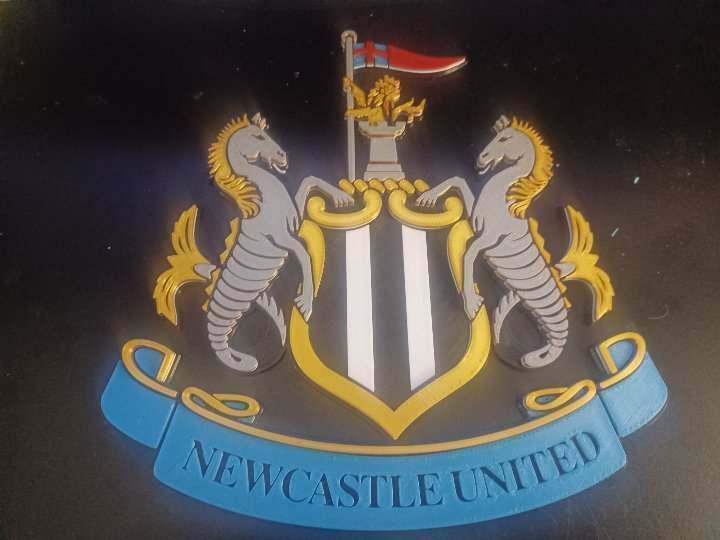 Newcastle United Coat of Arms with Keyhole for Walls