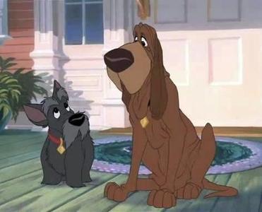 Trusty and Jock | set 🐕🦴