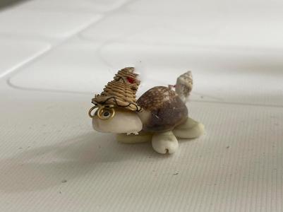 China turtle 