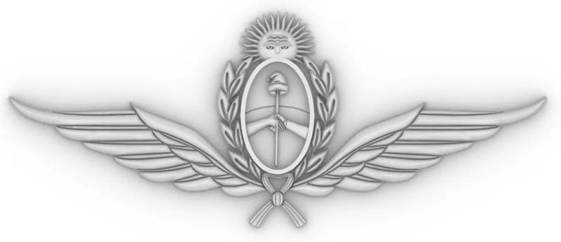 Argentina Escudo Fuerza Aerea air force shield