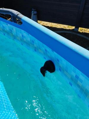 Above-ground pool connection