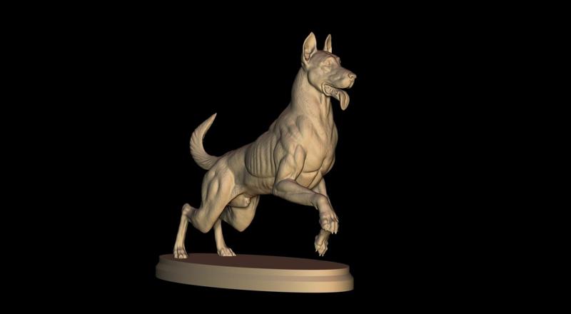 Belgian Shepherd Malinois