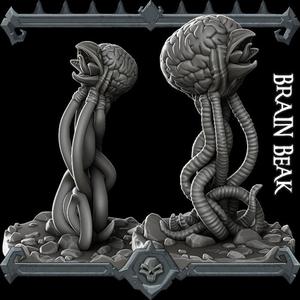 Brain Beak