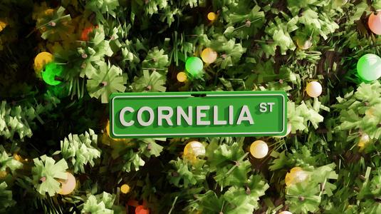 Cornelia Street Ornament - Taylor Swift