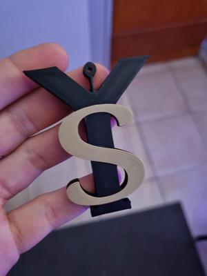 Y-S logo