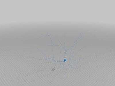 Nerve cell