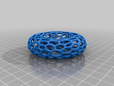 TORUS VERNOI