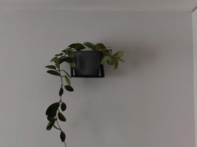 Wall shelf for a flower pot