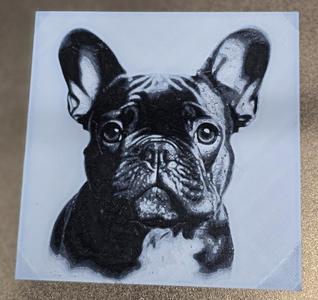 French Bulldog