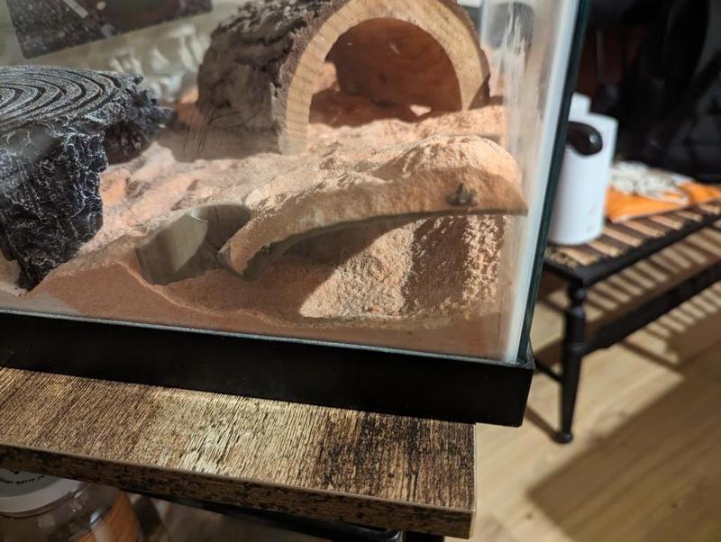 terrarium tunnel for small lizard or aquarium tunnel for fish