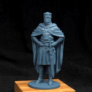 Crusader Lord