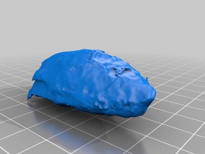 Ponta de Flecha Indígena