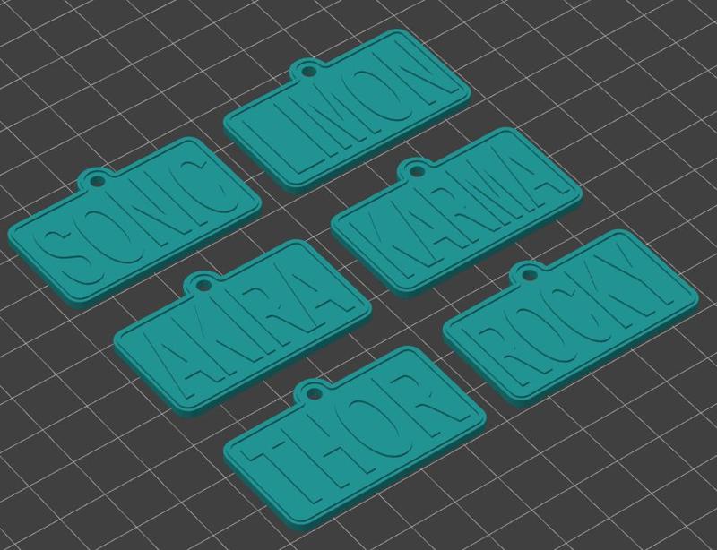 Pet Identification / Identificación de mascotas