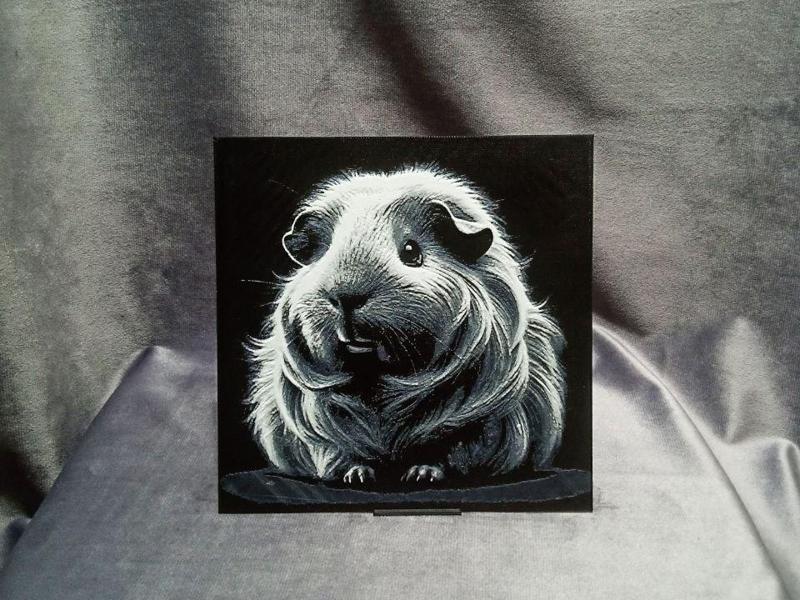 Guinea pig