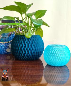 FLOWER POT