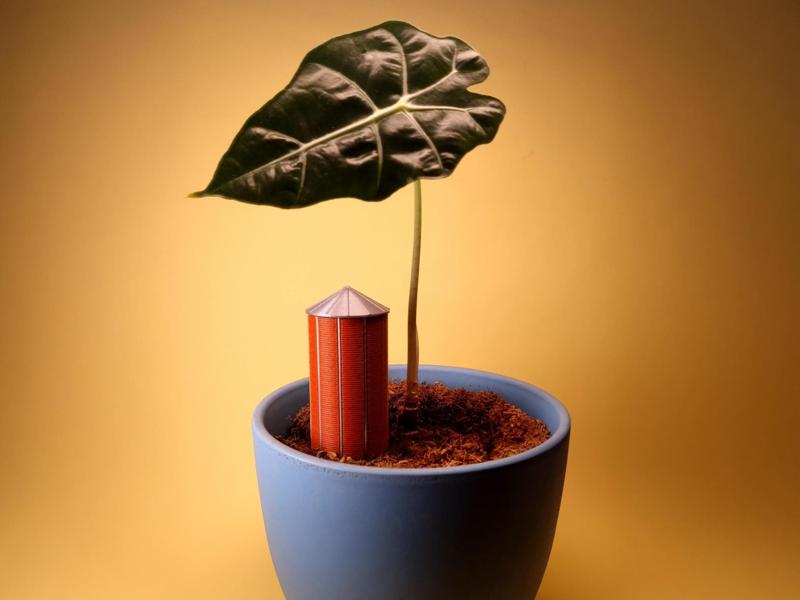 RootSilo – Mini Silo for Self-Watering Plant Care