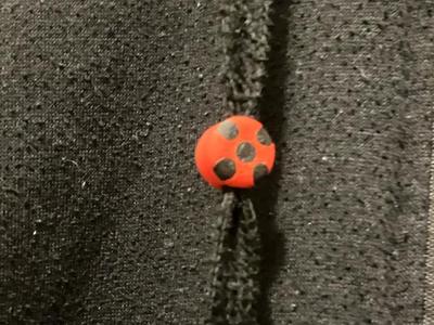 Lady bug from miraculous for hoodie drawstrings