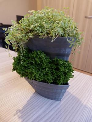 Small stackable planter for creating vertical garden