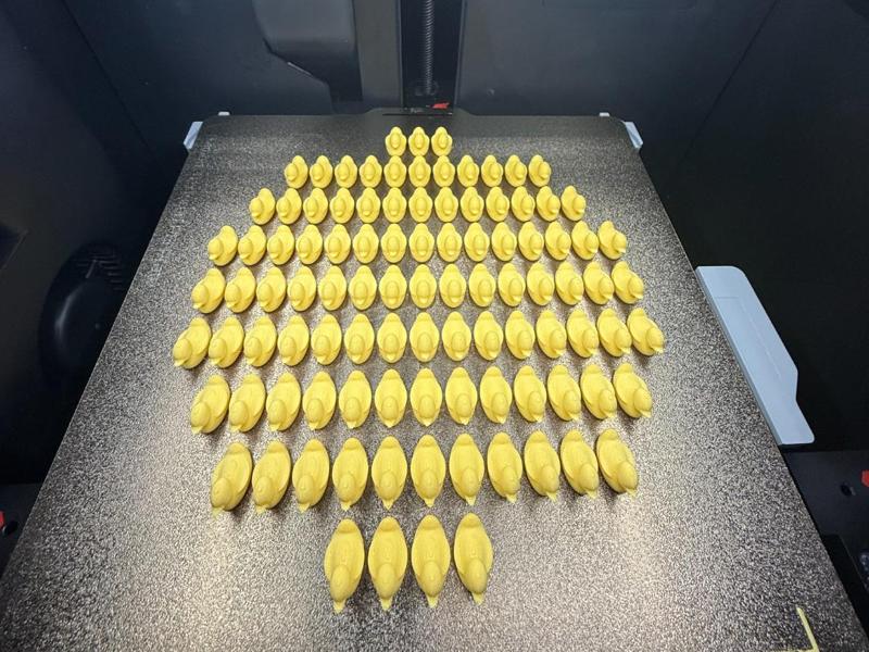 100/50/25/5/1 MINI DUCKS for hiding 