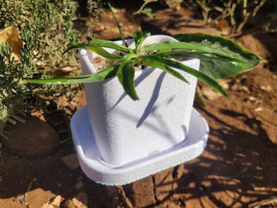 Rectangular Planter (Rounded, drainage & tray)