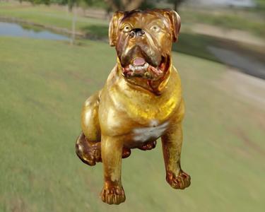 Pitbull
