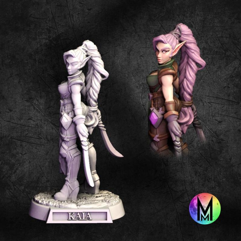 Female Elf Fighter / Ranger - Kaia the Wood Elf Fighter / Ranger (Female elf with two swords )