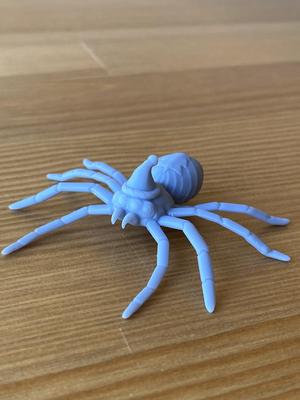 Christmas Treasure Spider