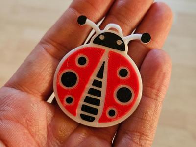 Ladybug keychain, lucky charm