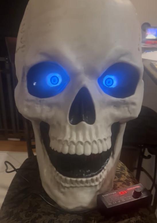 Skelly Life Eyes Mount