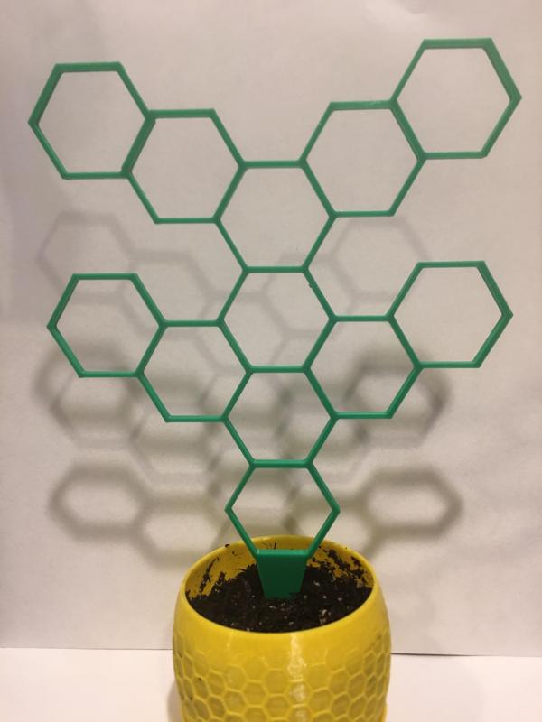 Hexagon Tree Houseplant Support