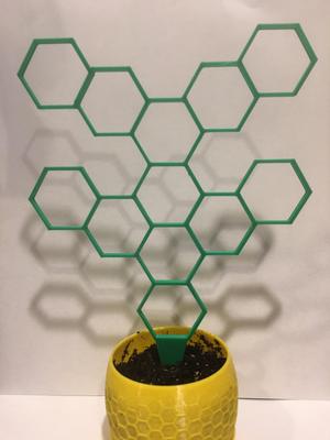 Hexagon Tree Houseplant Support