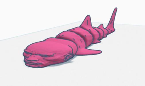 Rark ( The Rock Shark)