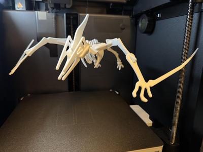 Pterodactyl Dinosaur Skeleton Puzzle
