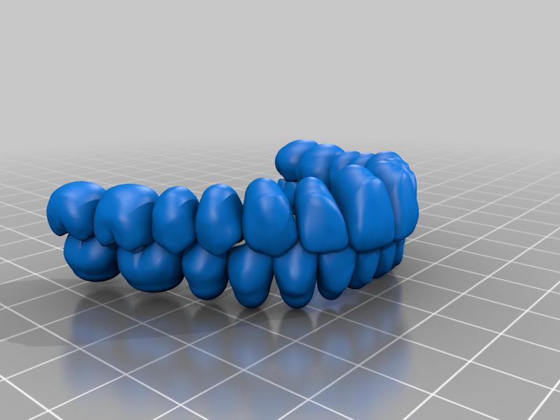 Lower and upper dental arch