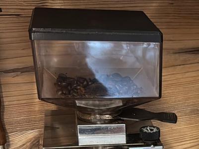 Eureka Specialita Lid