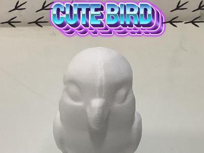 Cute bird