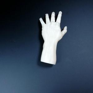 Hand Sculpture
